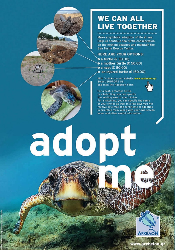 Adopt Sea Turtle Crete Greece Maleme